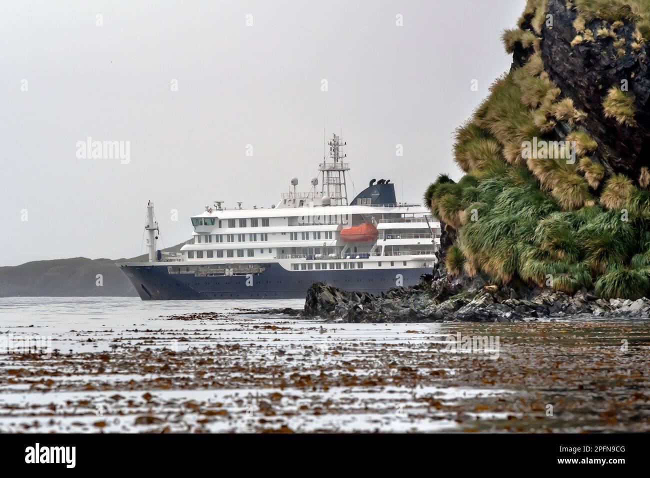 Georgia del Sud, St. Baia di Andrews Foto Stock