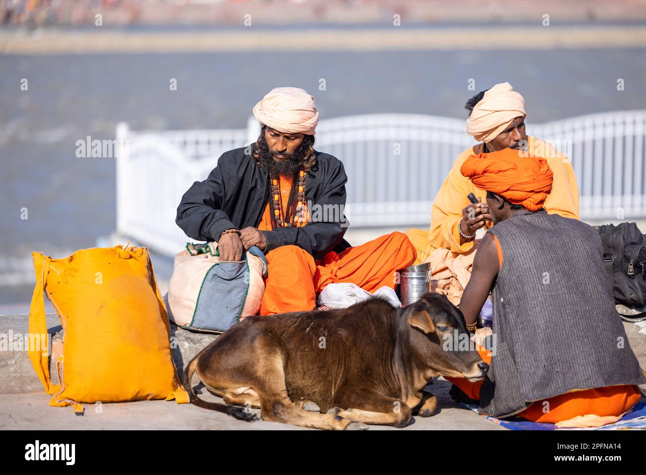 Santo Rishikesh, Ritratto di sadhu maschile brahmin non identificato vicino al fiume gange ghats a rishikesh durante la mattina d'inverno indossando abiti tradizionali. Foto Stock