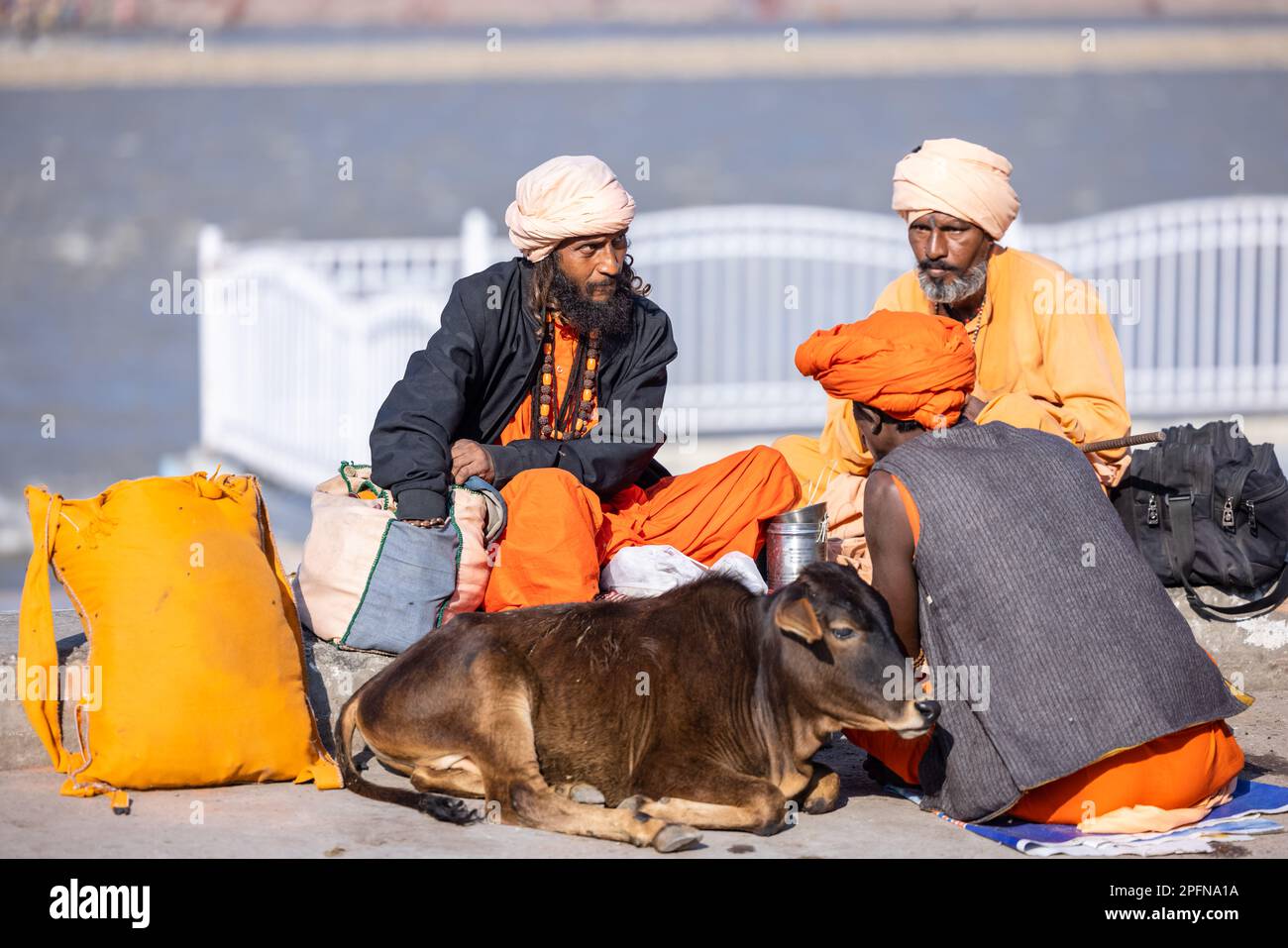 Santo Rishikesh, Ritratto di sadhu maschile brahmin non identificato vicino al fiume gange ghats a rishikesh durante la mattina d'inverno indossando abiti tradizionali. Foto Stock