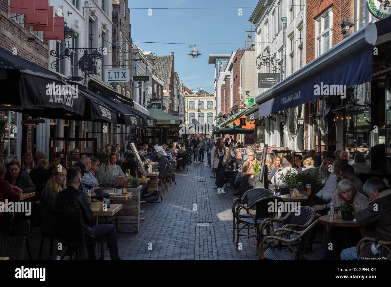 Le persone si godono un drink e uno spuntino sulle terrazze di una strada stretta nel centro di Den Bosch. Foto Stock