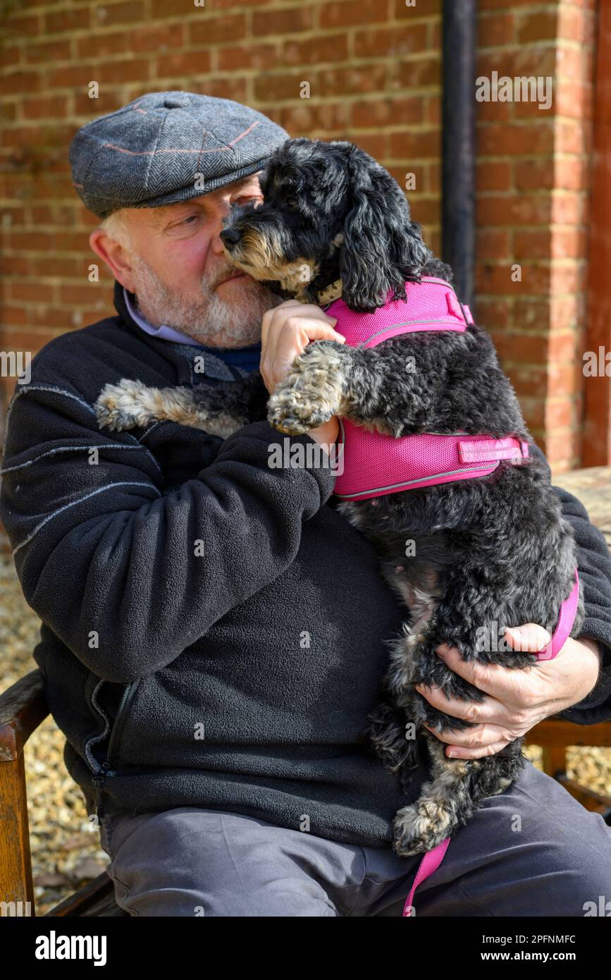 Uomo in un cappello piatto seduto con un cane in grembo Foto Stock
