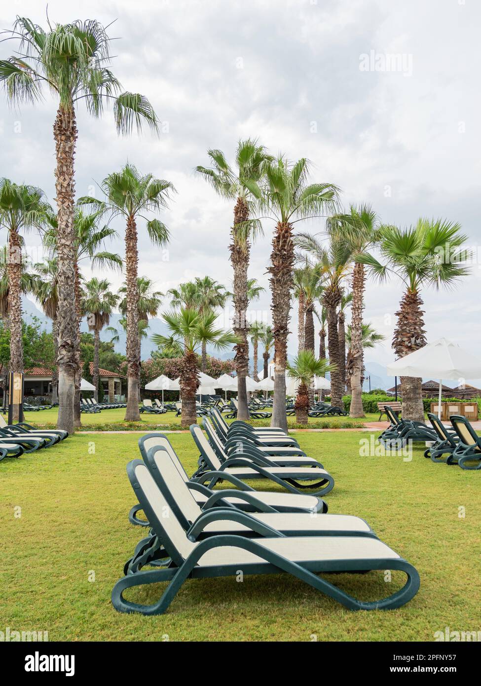 Hotel deserto in Turchia. Sedie a sdraio vuote su prato erboso sotto le palme. Assenza di persone. Viaggio tabou a causa di quarantena coronavirus COVID19. Autobus Foto Stock