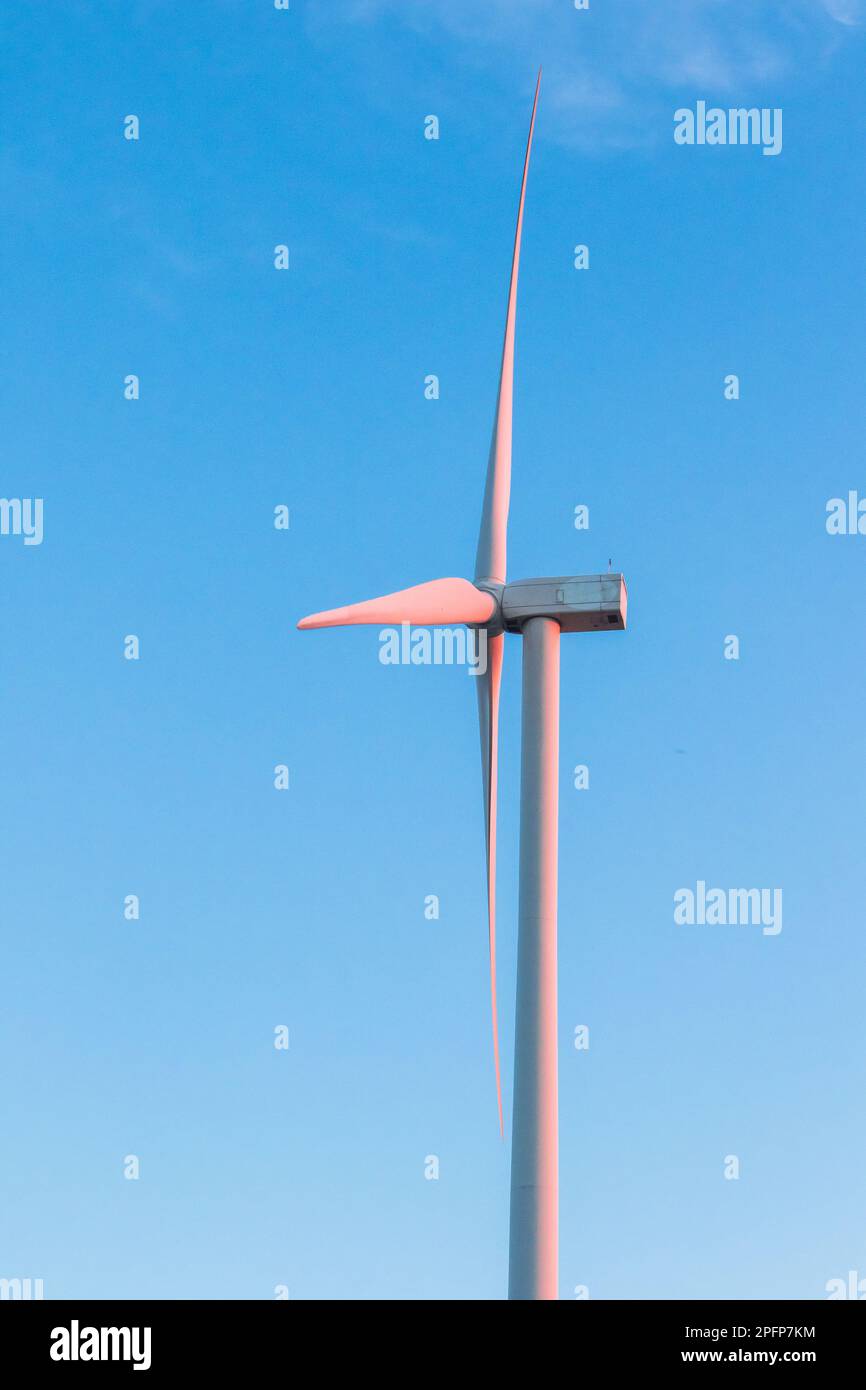 Una turbina eolica è una macchina che può ricevere e convertire l'energia cinetica dal movimento del vento in energia meccanica. e il meccanico e. Foto Stock