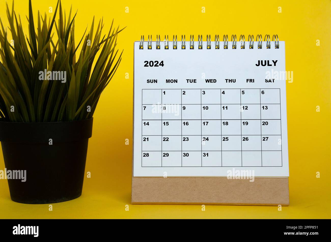 Luglio 2024 mese calendario con pianta da tavola su sfondo giallo copertina. Concetto di calendario mensile Foto Stock