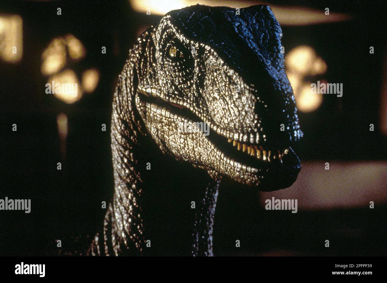 Jurassic Park 1993. velociraptor Foto Stock
