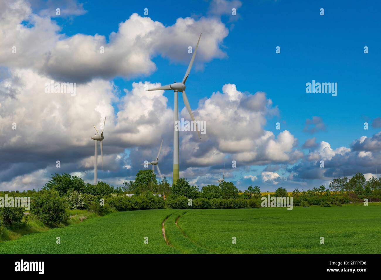 Turbine eoliche sul campo di grano verde con cielo blu e nuvole sullo sfondo. Fattoria eolica e illustrazione di energia sostenibile. Campagna moderna l Foto Stock