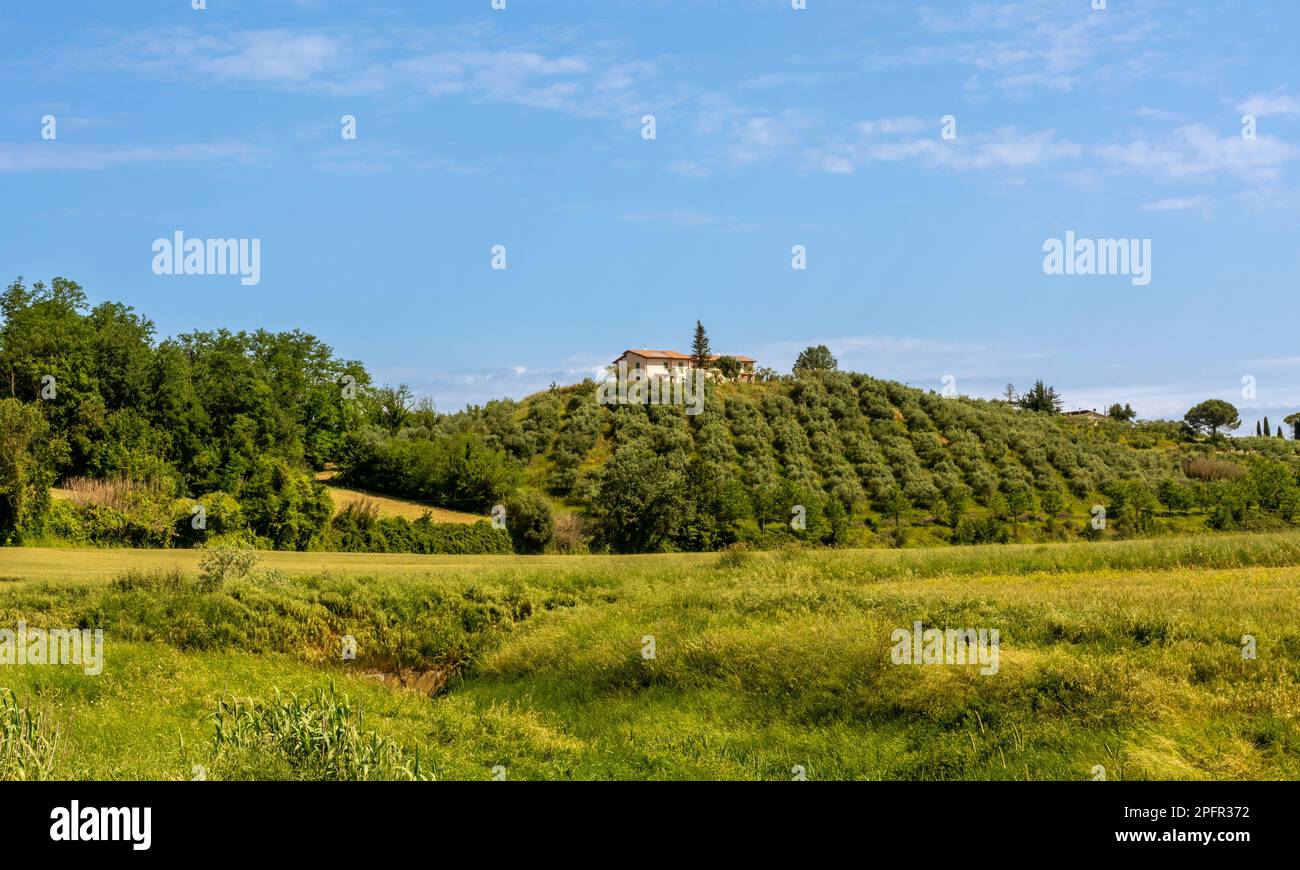 Paesaggio rurale nei pressi di Fucecchio, provincia di Firenze lungo la Via Francigena da Lucca a Siena, Toscana, Italia Foto Stock