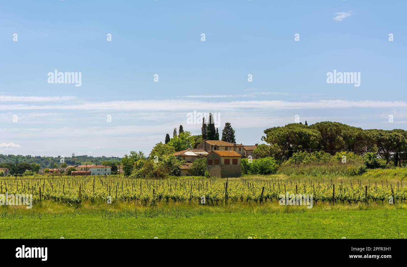 Paesaggio rurale nei pressi di Fucecchio, provincia di Firenze lungo la Via Francigena da Lucca a Siena, Toscana, Italia Foto Stock