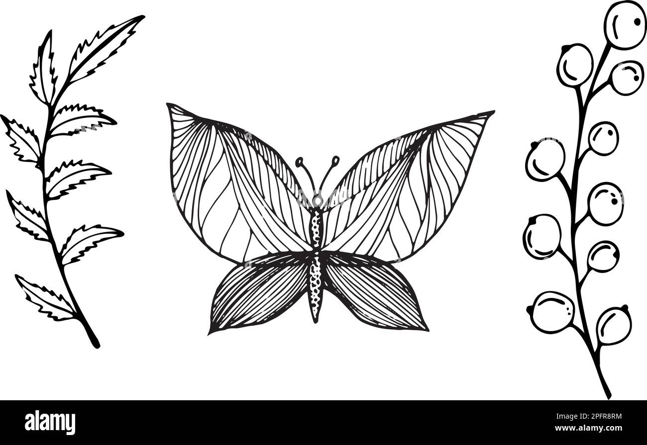 Gli elementi vettoriali isolati si farfalla e si ramificano con bacche in stile schizzo. Elementi per loghi, design, stampa Illustrazione Vettoriale