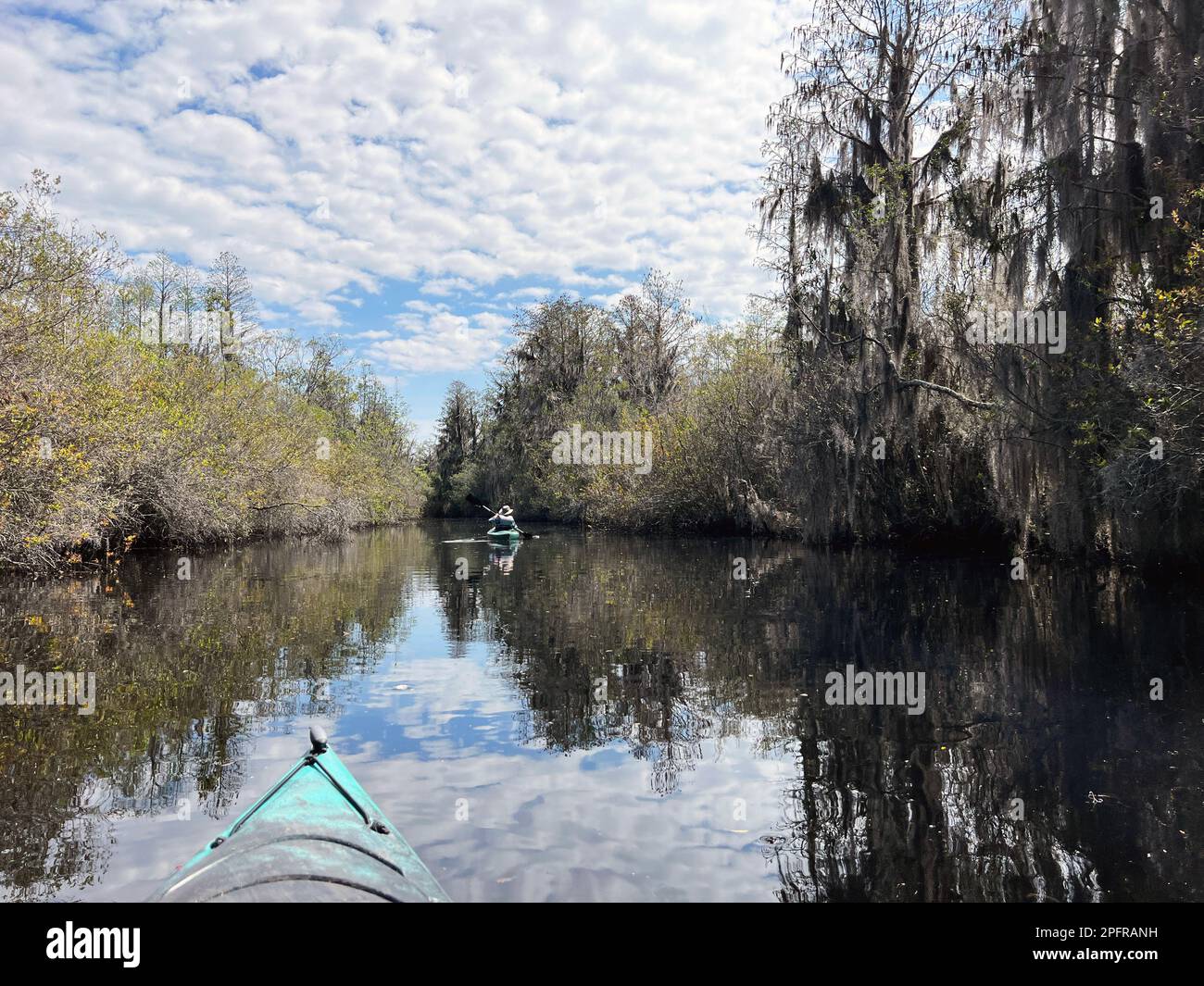 Una coppia anziana attiva pagaia iOkefenokee National Wildlife Refuge, la più grande palude di blackwater del Nord America, che ospita migliaia di alligatori. Foto Stock