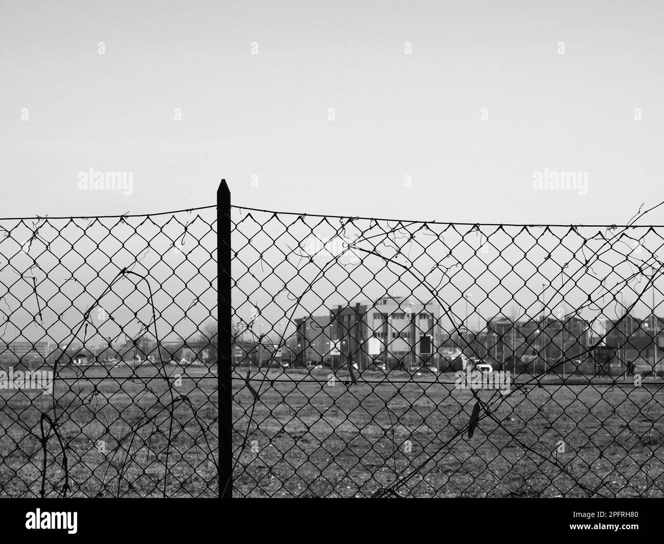 recinzione a rete metallica con sfocatura fuori messa a fuoco sullo sfondo Foto Stock