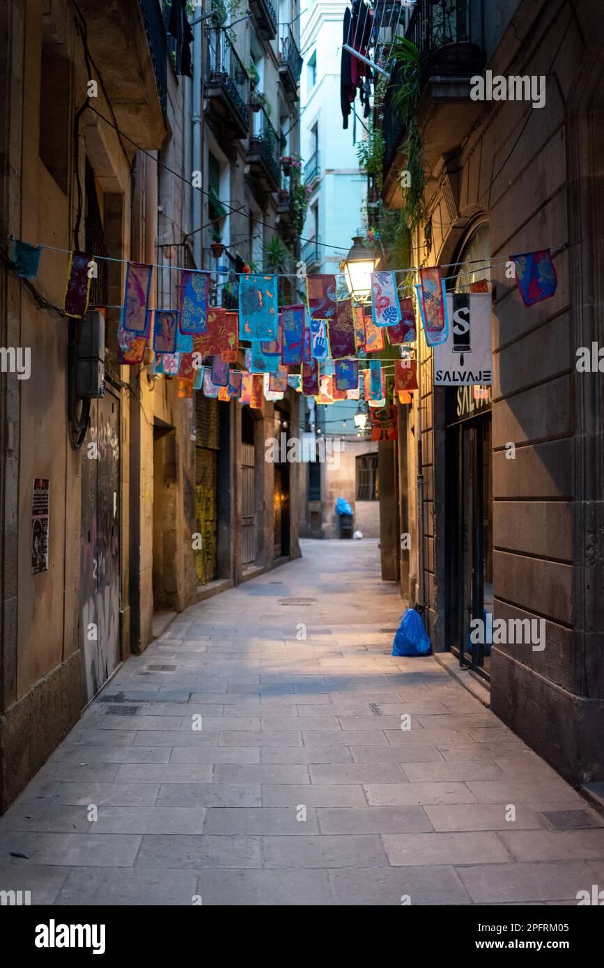 Il quartiere Gotico di Barcellona, Spagna, è immerso nella storia, con stradine strette che conducono a piazze nascoste e monumenti antichi Foto Stock