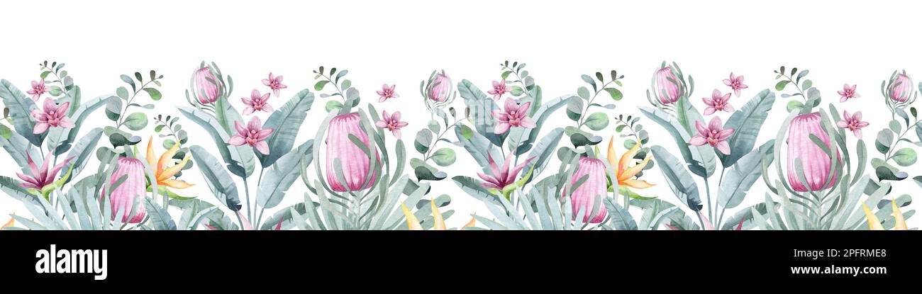 Acquerello bordo floreale senza cuciture. Australia fiori tropicali e piante con uccelli fenicotteri. Arredamento, cartoline, sublimazione. Foto Stock
