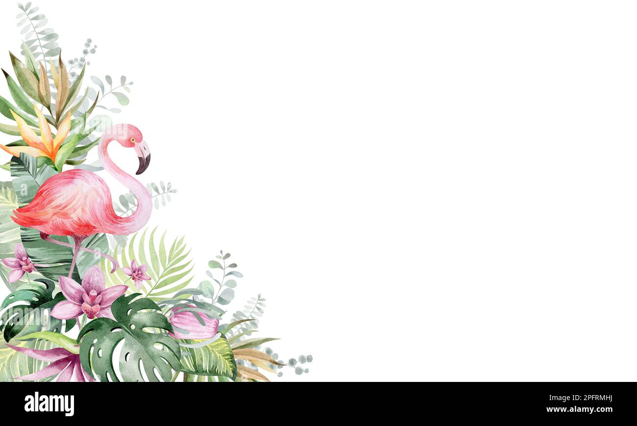 Acquerello di fiori tropicali. Bouquet di piante tropicali e fiori dell'Australia. Per sublimazione, cartoline, inviti, adesivi, Foto Stock