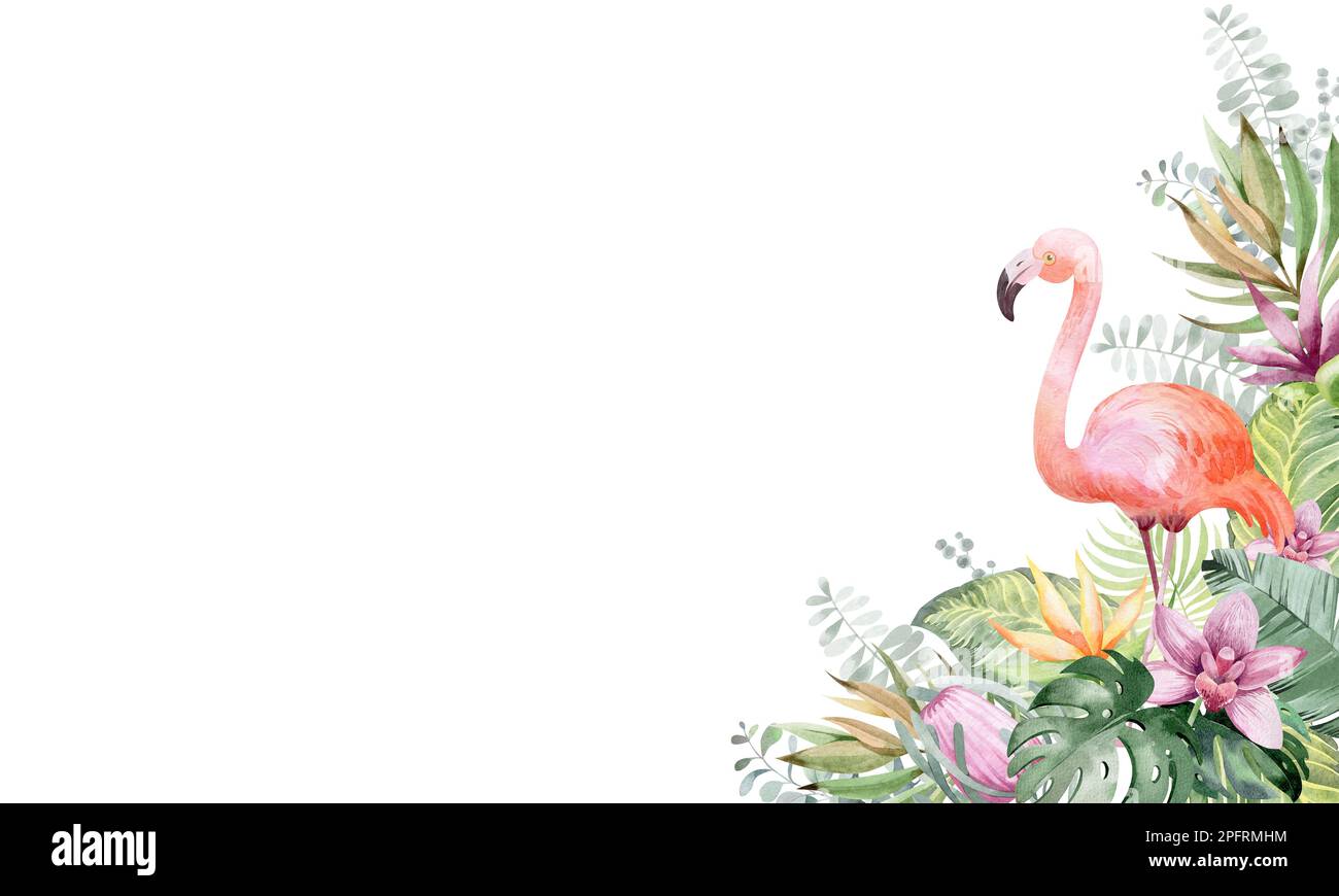 Acquerello di fiori tropicali. Bouquet di piante tropicali e fiori dell'Australia. Per sublimazione, cartoline, inviti, adesivi, Foto Stock