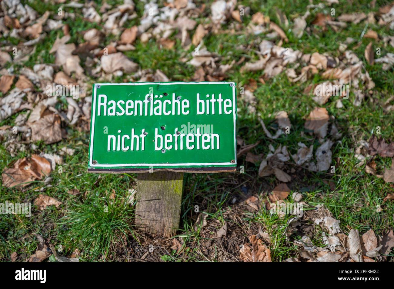 Primo piano rasenflaeche bitte nicht betreten, si prega di non camminare sul prato, erba, cartello di divieto tedesco Foto Stock