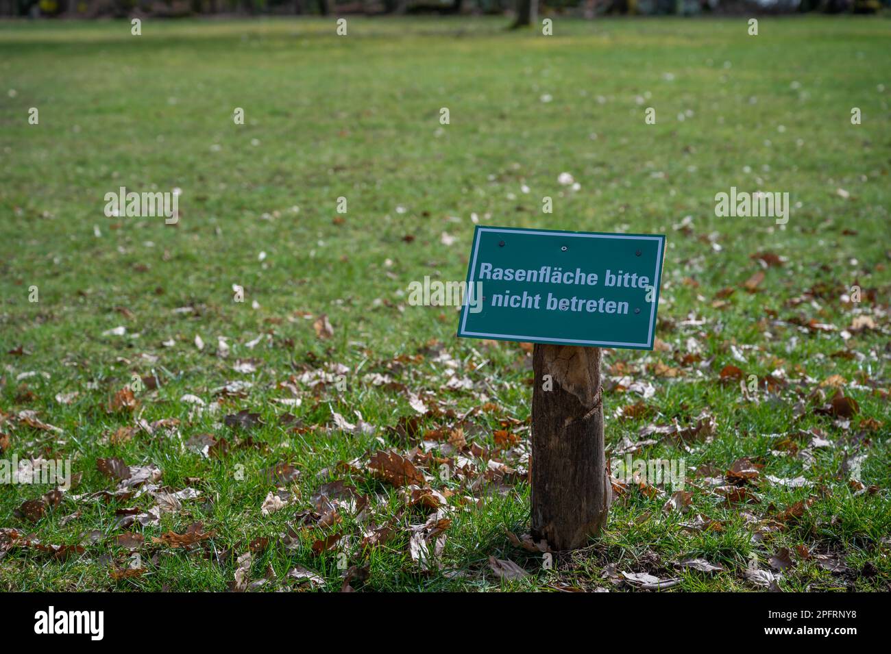 Rasenflaeche bitte nicht betreten, si prega di non camminare sul prato, erba, cartello di divieto tedesco Foto Stock