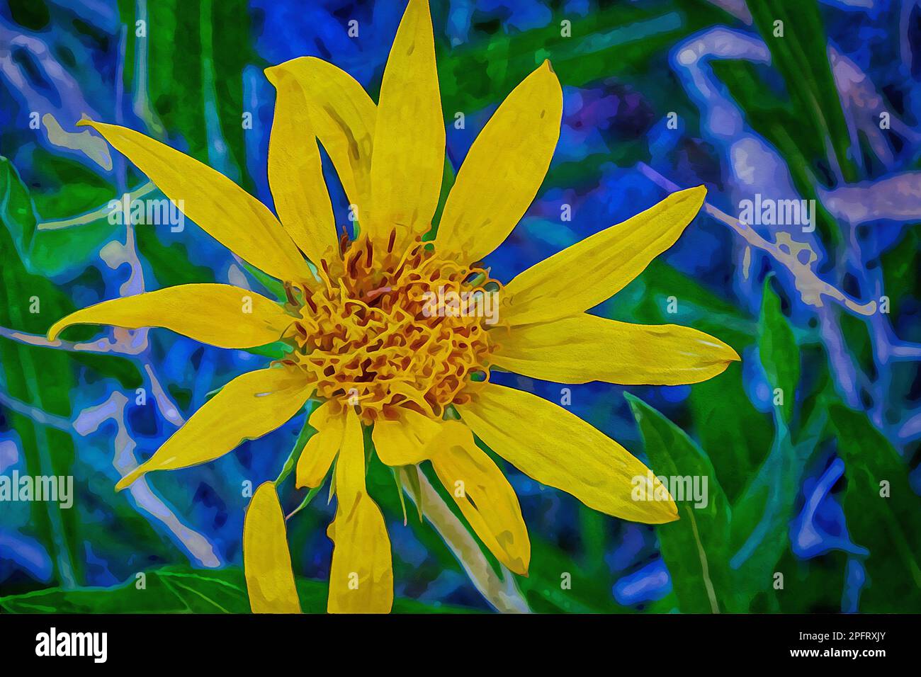 Un dipinto digitale ad acquerello con piccoli fiori a margherita con petali lunghi e sottili in tonalità oro e marrone Foto Stock