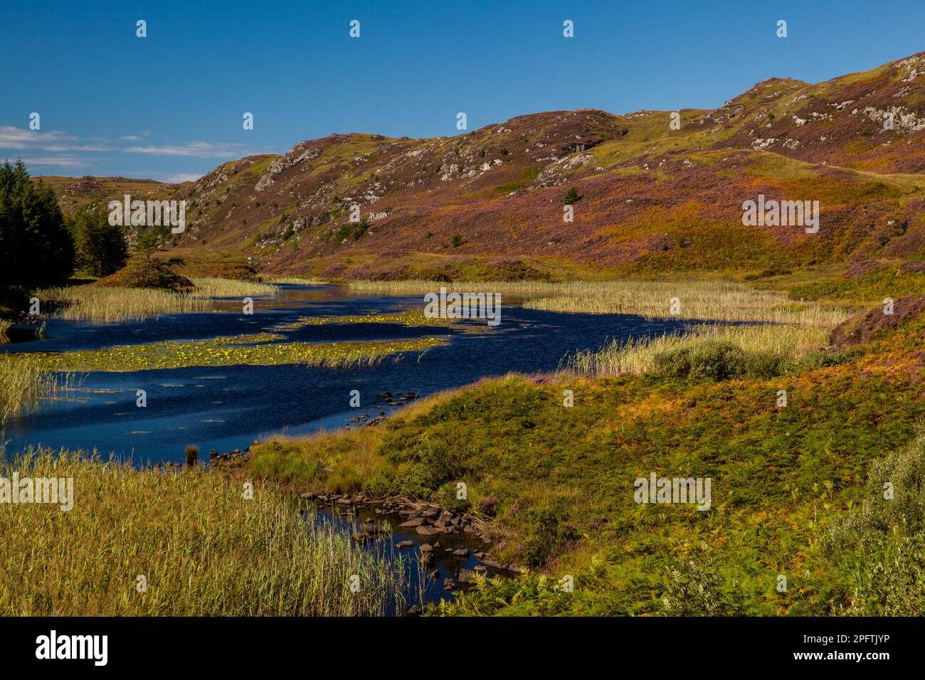 Highlands, nella costa occidentale della Scozia, Regno Unito Foto Stock
