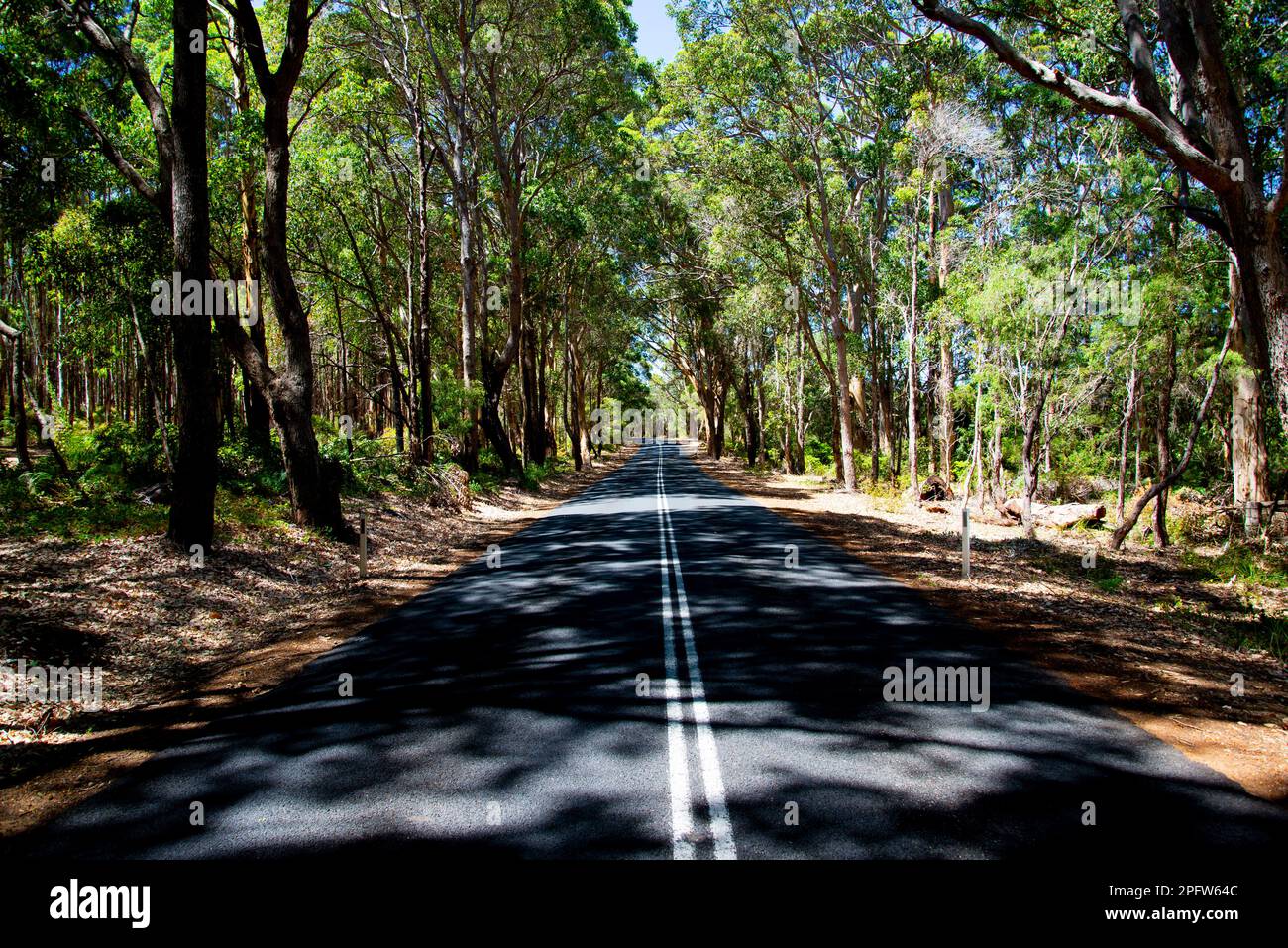 Caves Road - Margaret River - Australia Occidentale Foto Stock