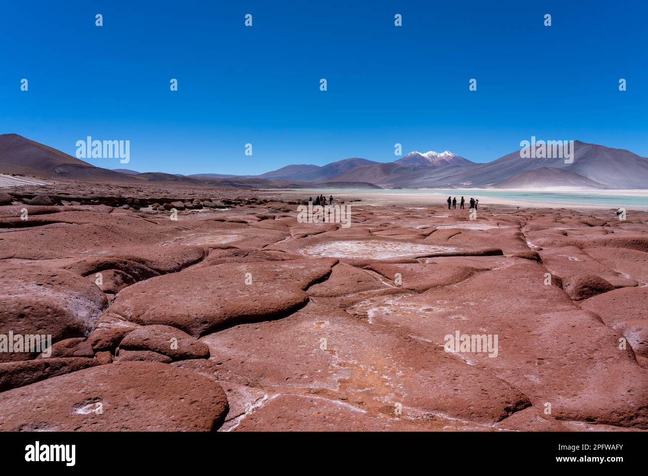 Red Rocks (Piedras Rojas), laguna e saline con turisti irriconoscibili nel deserto di Atacama, Cile. Foto Stock