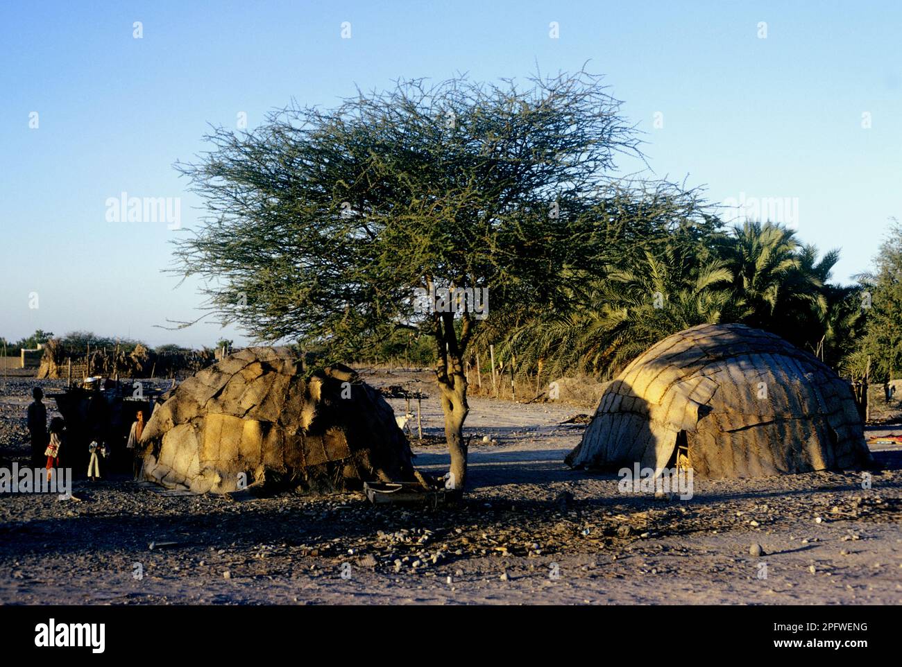 Condizioni di vita con capanne a sacco sulla costa di Fujairah, Emirati Arabi Uniti, 1975 Foto Stock