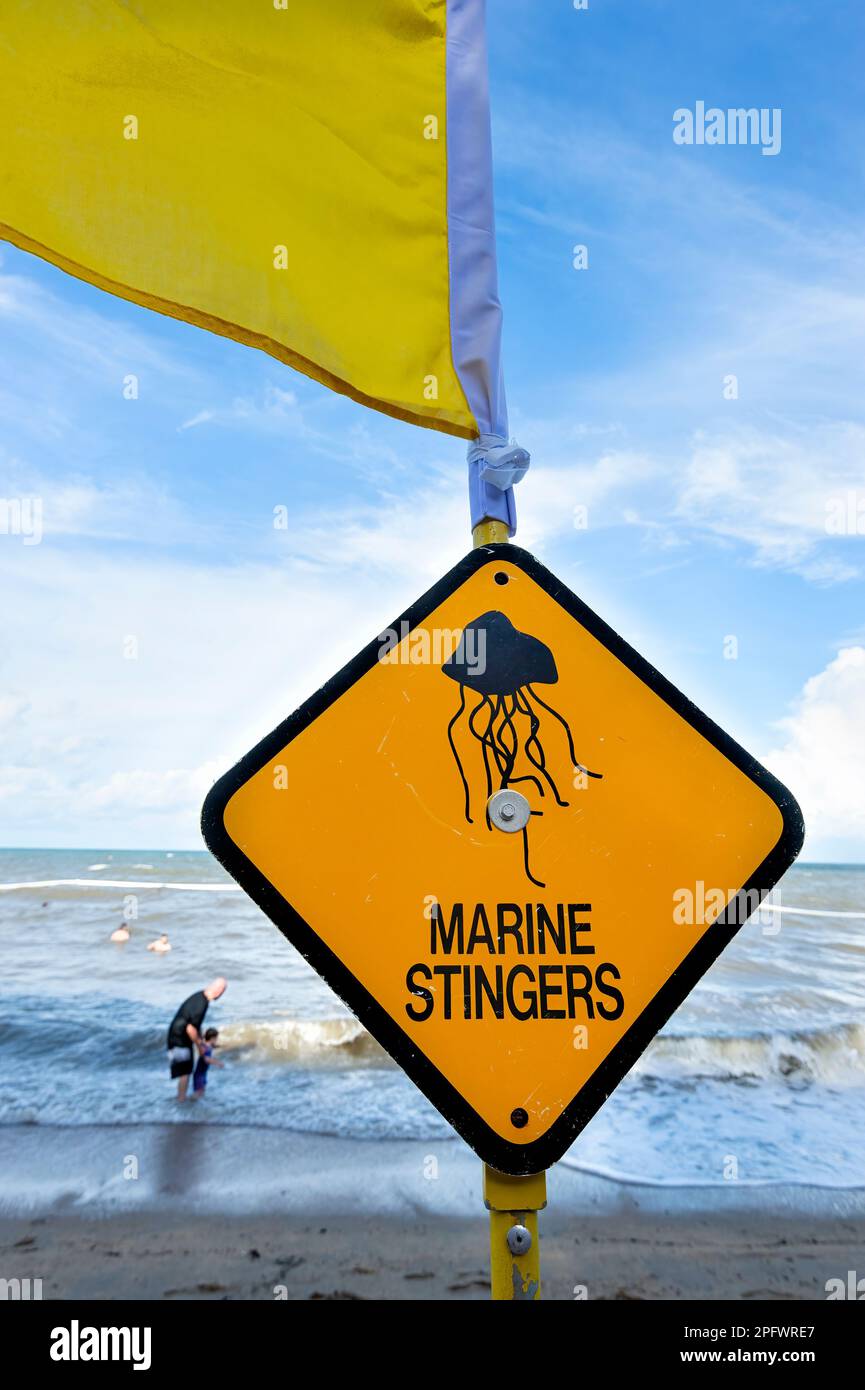 Cartello di avvertimento Marine Stingers sulla spiaggia di Palm Cove, far North Queensland, FNQ, QLD, Australia Foto Stock