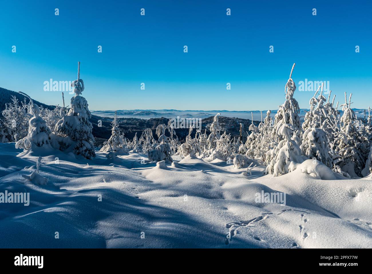 Vista dalla collina di Velky Prislop in inverno Kysucke Beskydy montagne sui confini slovacchi - polacco Foto Stock