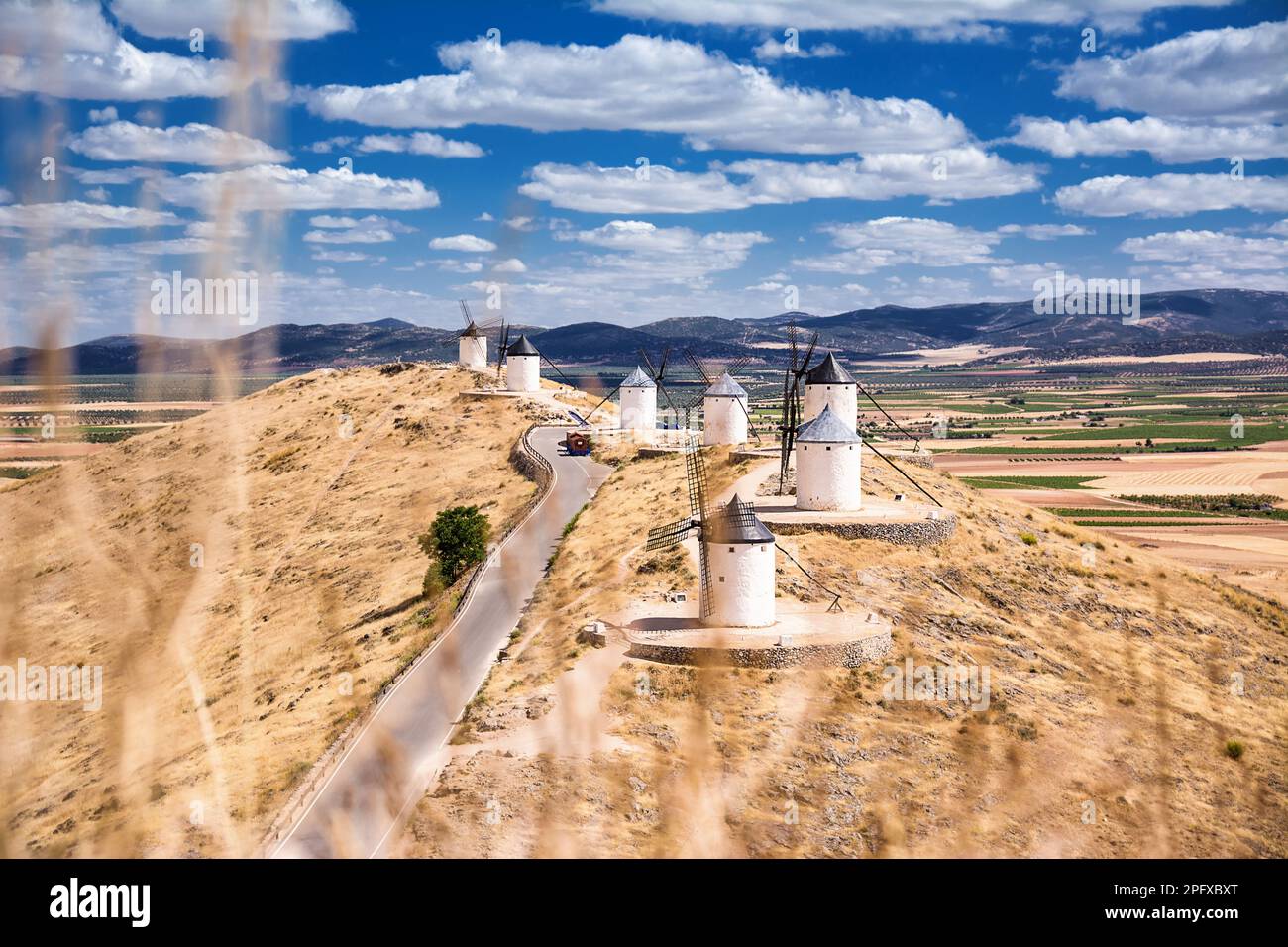 Serie di mulino a vento di Consuegra sulla collina, in primo piano gambi di erba secca fuori fuoco e sullo sfondo la pianura di la Mancha (Spagna) Foto Stock