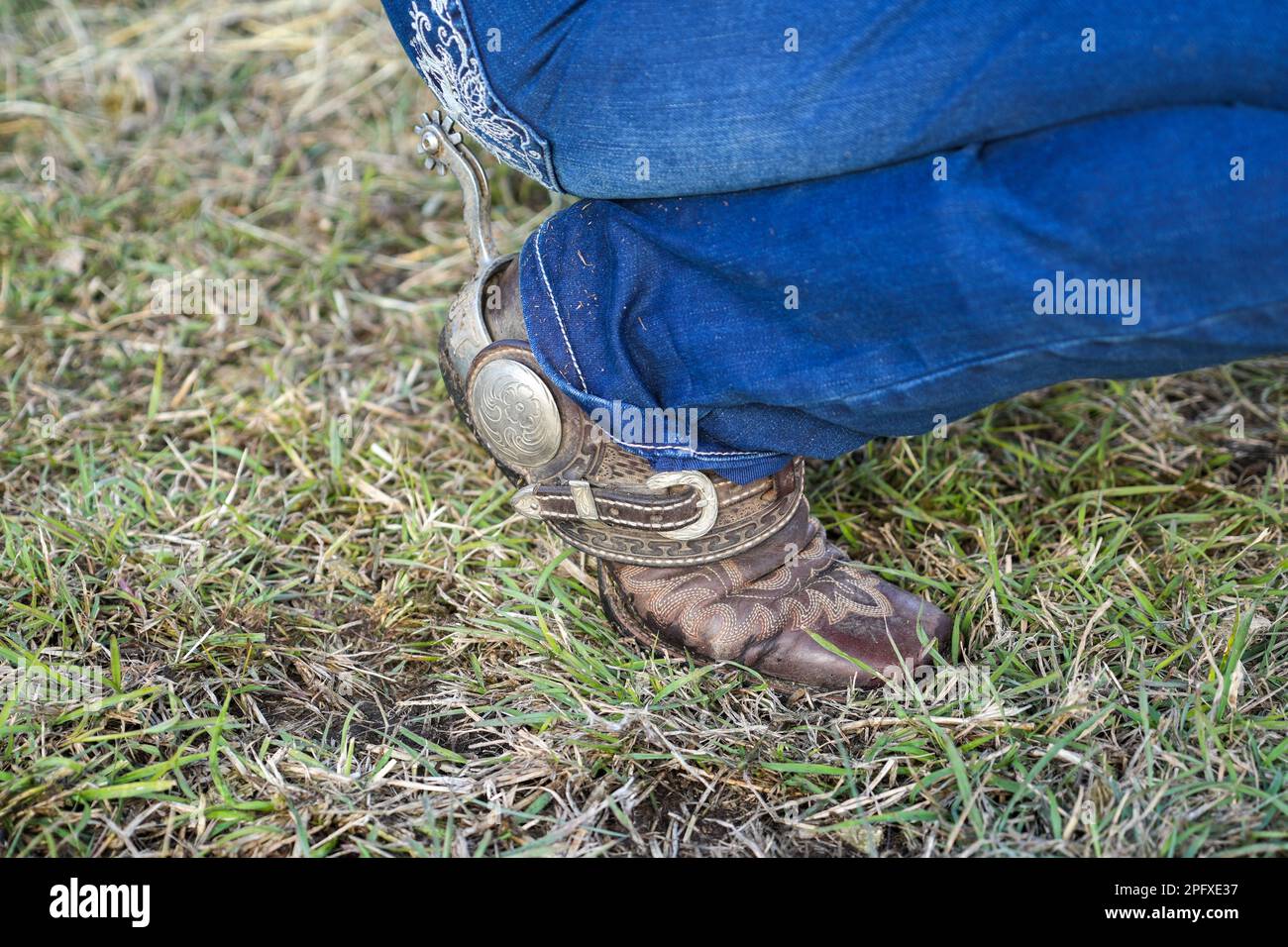 Vista ravvicinata delle donne accovacciate, con jeans blu e pelle marrone stile occidentale, stivali da equitazione con speroni d'argento Foto Stock