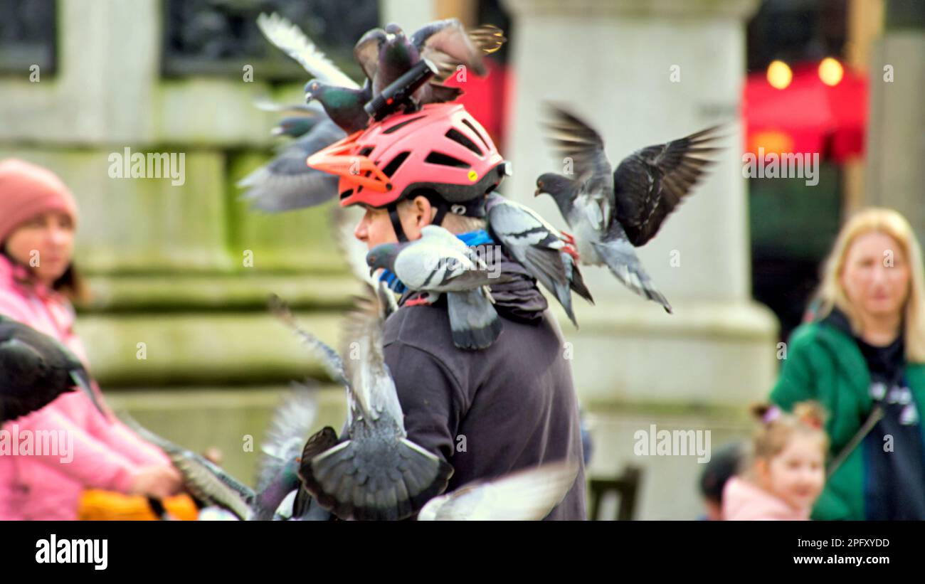 Glasgow, Scozia, Regno Unito 19th marzo 2023. Tempo nel Regno Unito: Soleggiato nel centro della città pomeriggio ha visto la gente del posto prendere per le strade. George Square ha un problema con le persone che alimentano i ratti volanti causando un'esplosione della popolazione. Credit Gerard Ferry/Alamy Live News Foto Stock