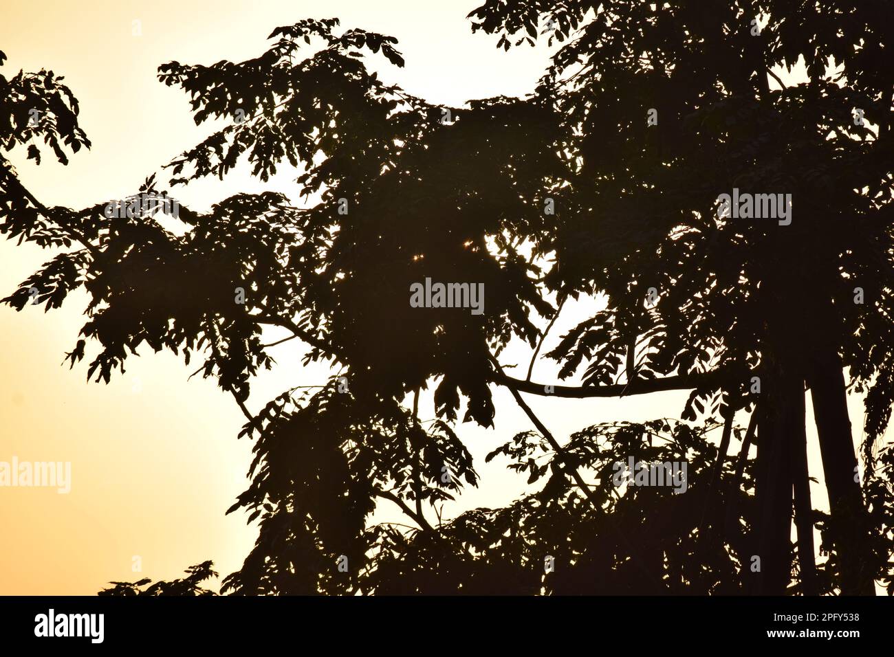 E in questo momento, il mondo si sentiva fermo. Foto Stock