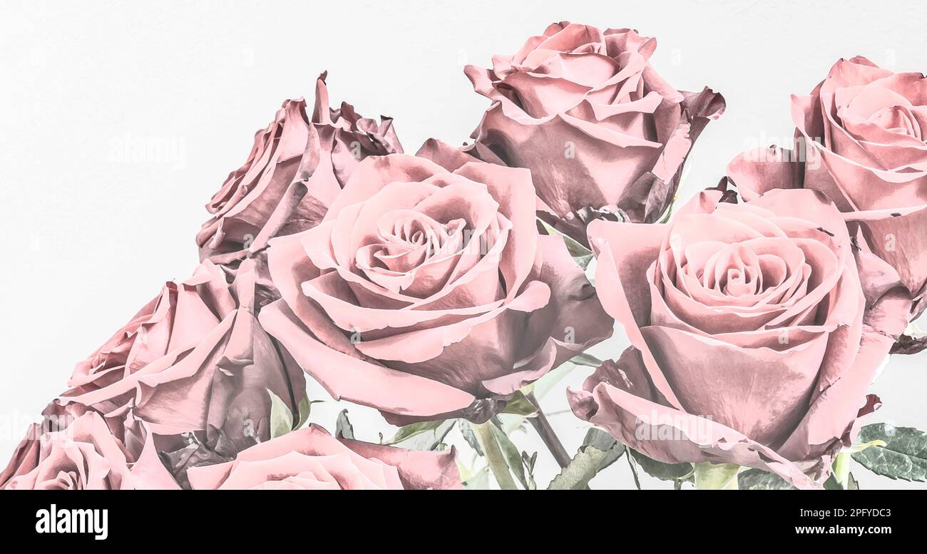 Bouquet di rose rosa. Illustrazione verniciata. Foto Stock
