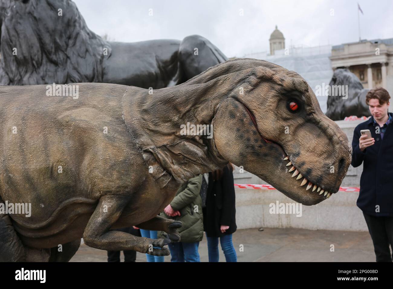 Londra, Regno Unito. 18 Feb 2023. L'invasione dei dinosauri in Trafalgar Square per promuovere Jurassic Live è uno spettacolo del West End presso l'Adelphi Theatre. © Waldemar Sikora Foto Stock