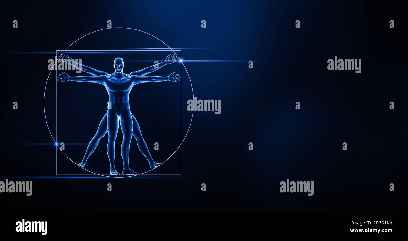 Vista anteriore o frontale del corpo umano maschio 3D che rende l'illustrazione su sfondo blu con spazio di copia. Medicina, anatomia del sistema scheletrico, biologia, Foto Stock