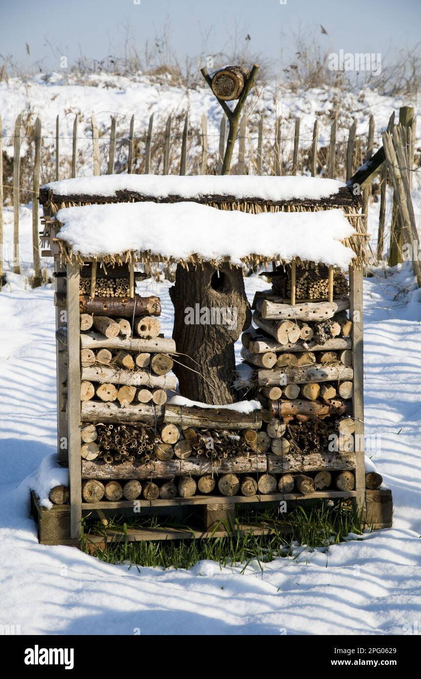 'Bug hotel' coperto di neve, Crossness Nature Reserve, Bexley, Kent, Inghilterra, Regno Unito Foto Stock