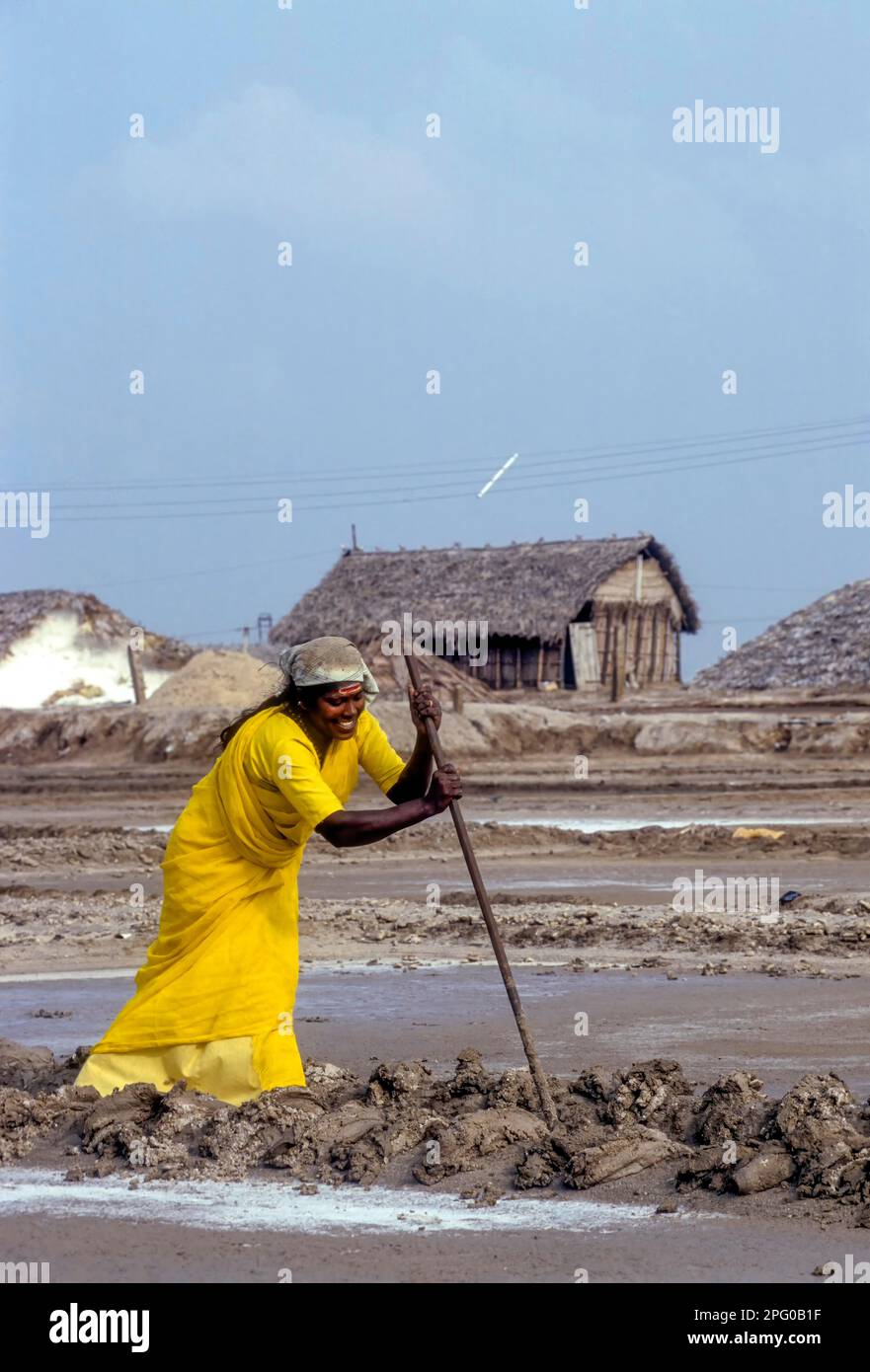 Operaio in padella di sale a Thoothukudi Tuticorin, Tamil Nadu, India del Sud, India, Asia Foto Stock