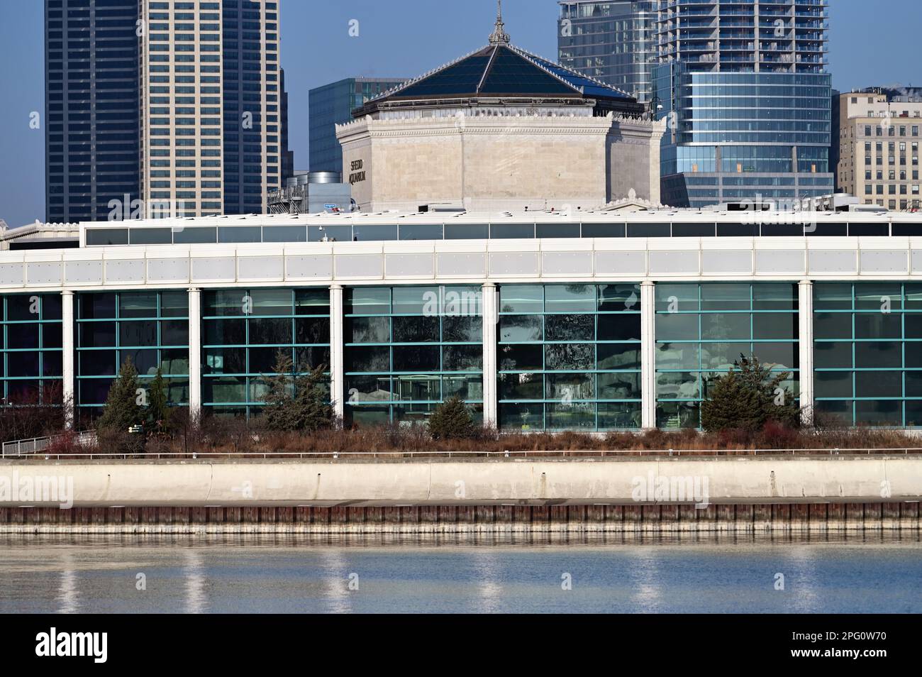 Chicago, Illinois, Stati Uniti. Lo Shedd Aquarium, un acquario di classe mondiale, è una delle tre istituzioni che compongono il Museum Campus della città. Foto Stock
