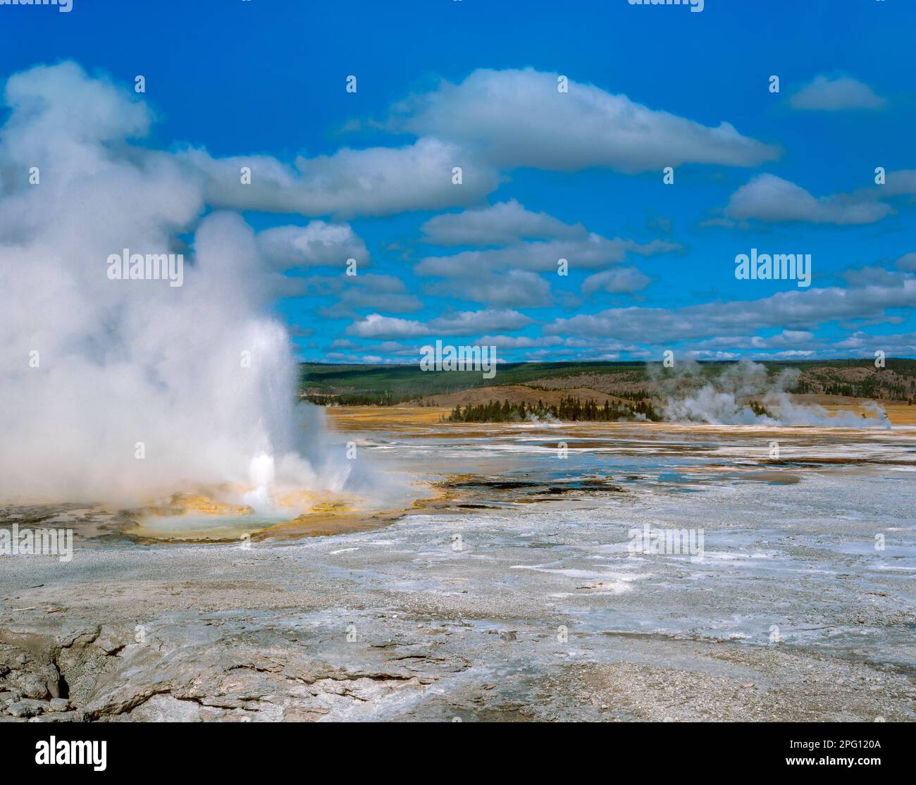 Clepsydra Geyser, Fountain Paint Pot Basin, Yellowstone National Park, Wyoming Foto Stock