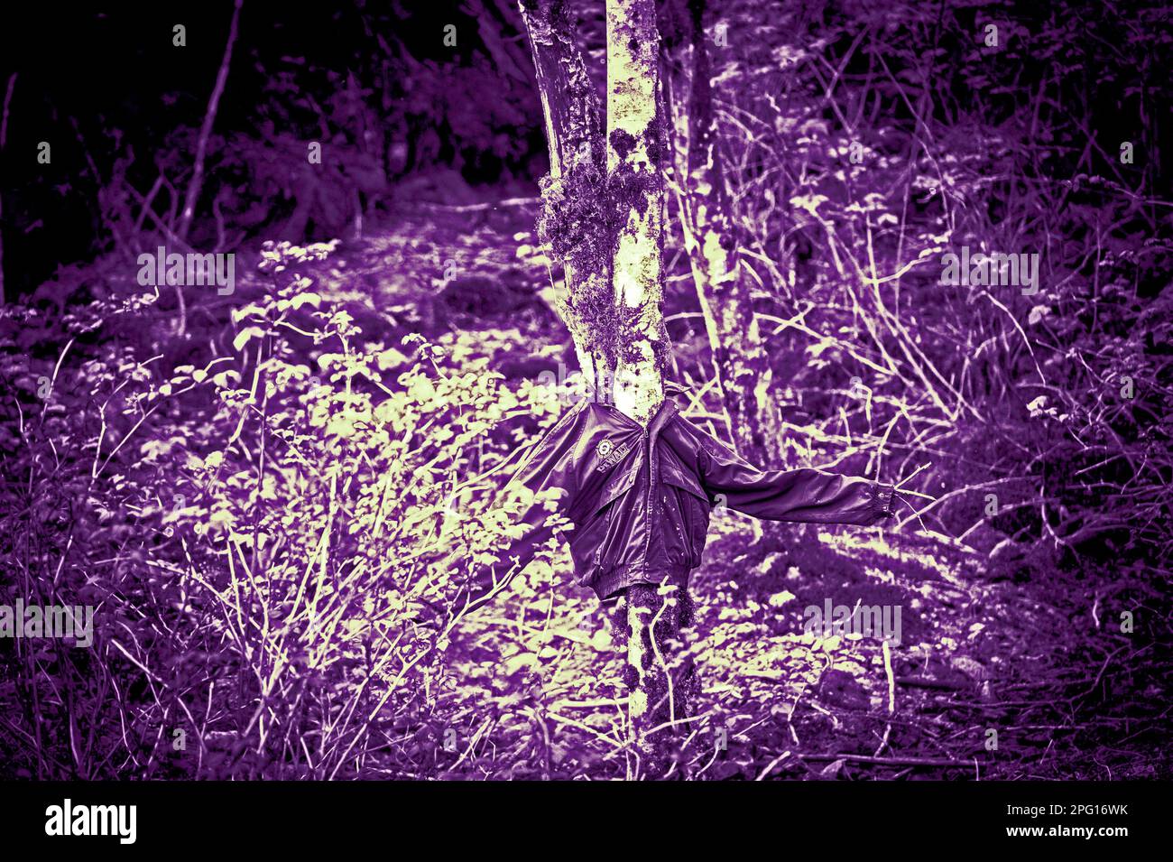Vecchia giacca propped su alberi arti accanto Blue Lake strada che si snoda attraverso la Tongass National Forest al lago, diga e Forest Service campeggio. Foto Stock