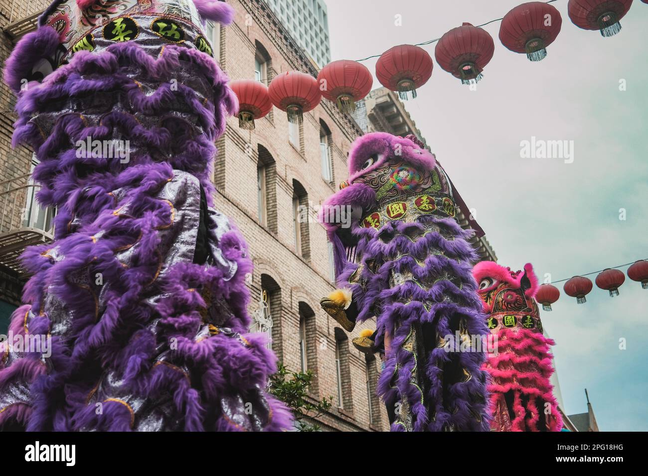 Un gruppo di artisti vestiti con colorati costumi di leone danza attraverso le strade affollate di Chinatown di San Francisco come parte del Lion Dance Show. Le strade della Chinatown di San Francisco sono state animate da emozioni mentre l'annuale Lion Dance Show si è svolto il sabato. Lo spettacolo, che è una tradizionale celebrazione del Capodanno cinese, ha caratterizzato dozzine di artisti vestiti con colorati costumi di leone. L'associazione benevola consolidata Cinese ha organizzato l'evento. Questo gruppo di comunità locale lavora per preservare e promuovere la cultura cinese a San Francisco. Il Lion Dance Show è stato un punto di spilla Foto Stock