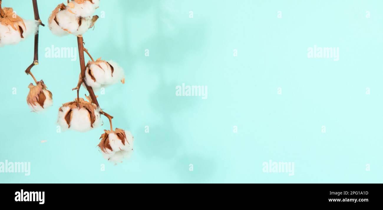 Scena astratta e minimale per prodotti mockup, vetrina, esposizione promozionale. Foto Stock