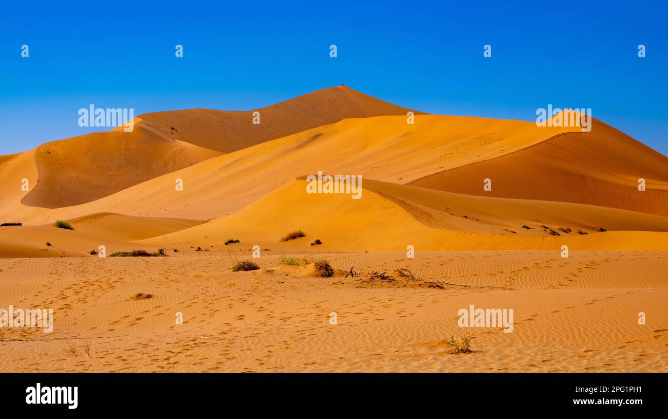 Sossusvlei, dune di sabbia rossa in Namibia, situato nella parte meridionale del deserto del Namib. Foto Stock