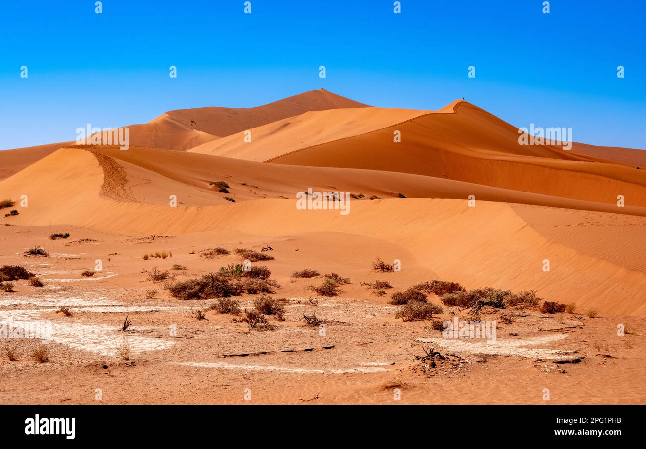Sossusvlei, dune di sabbia rossa in Namibia, situato nella parte meridionale del deserto del Namib. Foto Stock