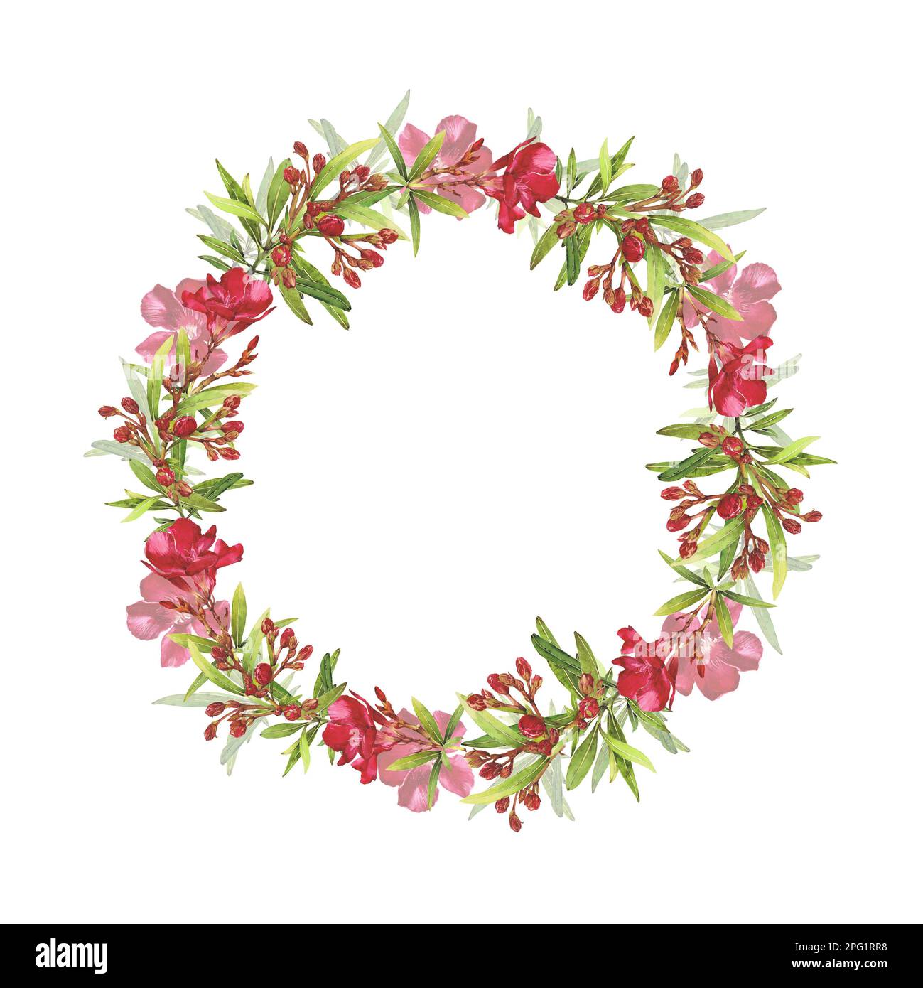 Acquerello illustrazione di Oleander. Set con fiori e foglie. Clip art isolata disegnata a mano su sfondo bianco. Foto Stock