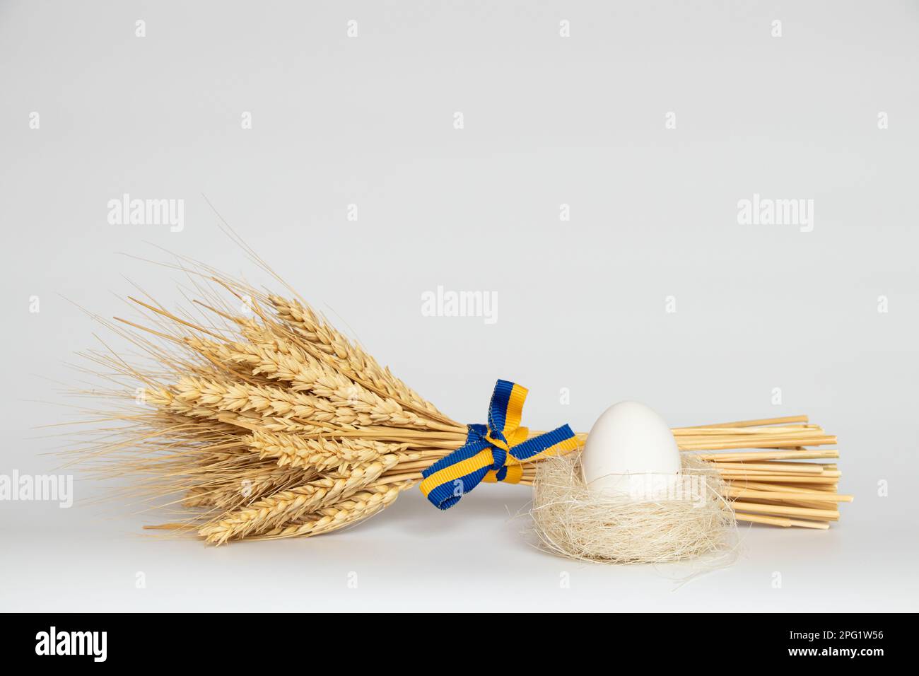 Spikelets di grano legato con un nastro della bandiera dell'Ucraina e un uovo bianco di pollo in un nido su uno sfondo bianco, vacanza Foto Stock