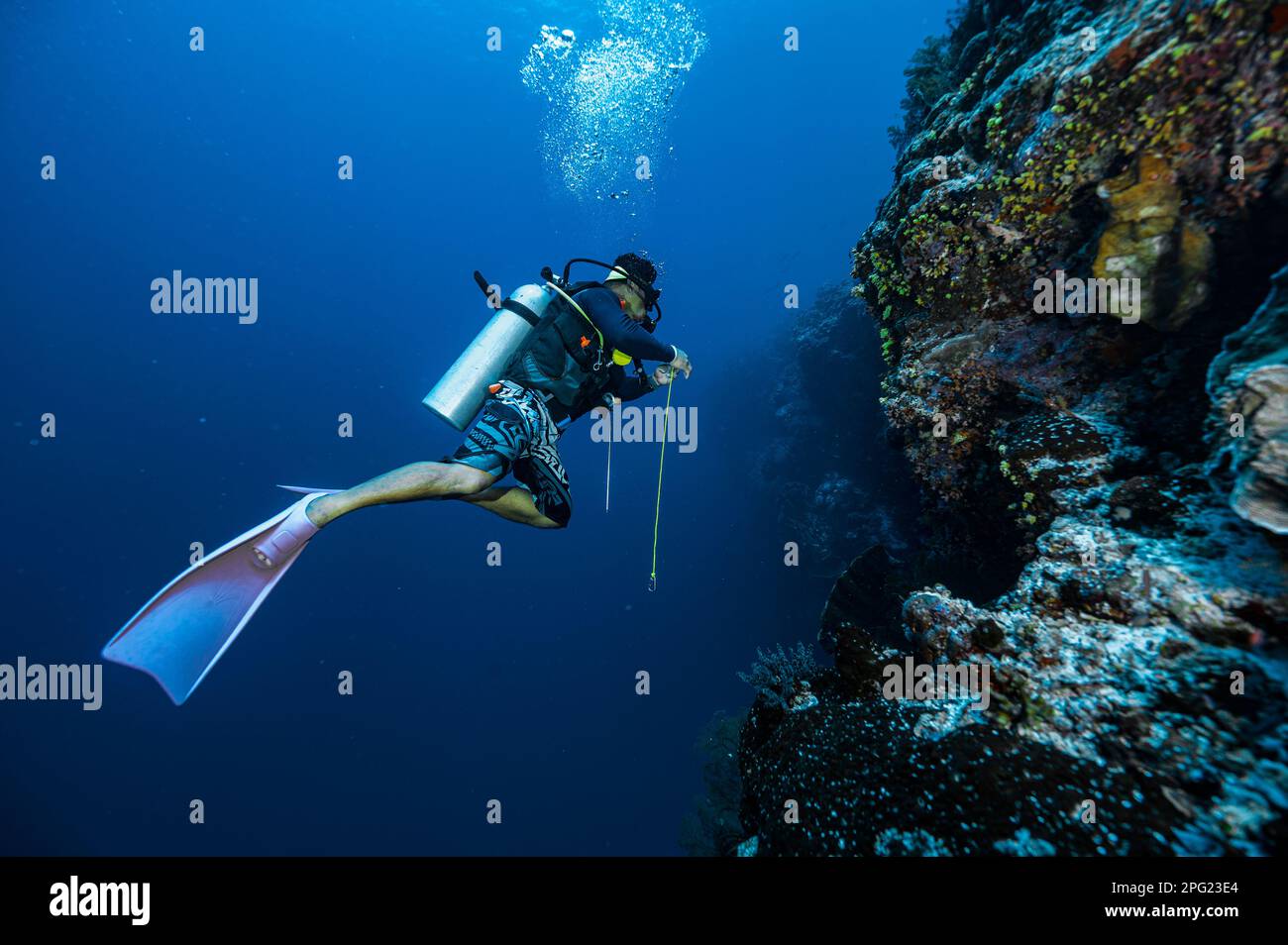 Tuffatore esplorando una barriera corallina a banda Mare / Indonesia Foto Stock