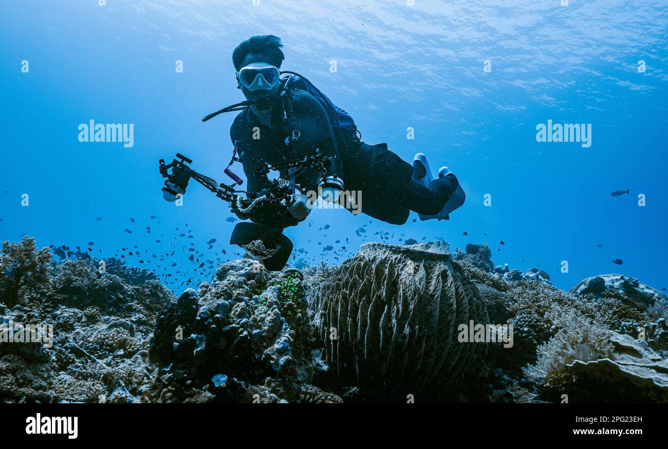 Fotografo subacqueo che esplora una barriera corallina a banda Sea / Indonesia Foto Stock