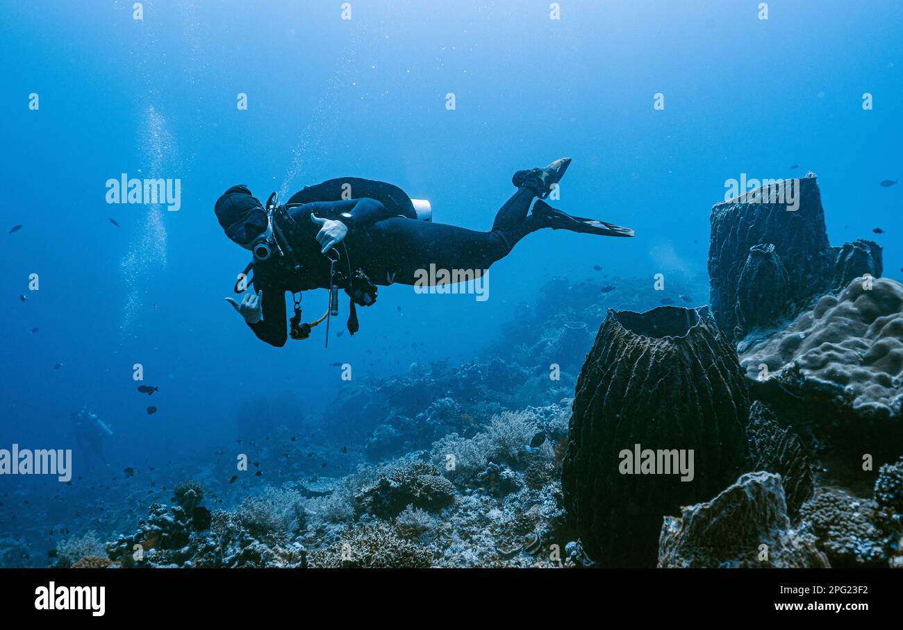 Tuffatore esplorando una barriera corallina a banda Mare / Indonesia Foto Stock