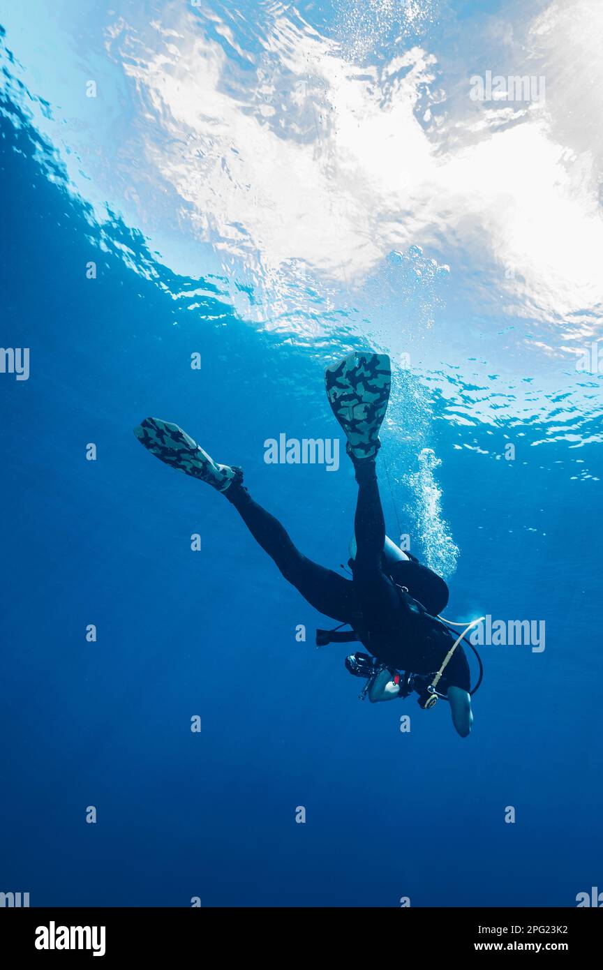 Il subacqueo galleggia al Mare di banda durante una sosta di sicurezza obbligatoria Foto Stock